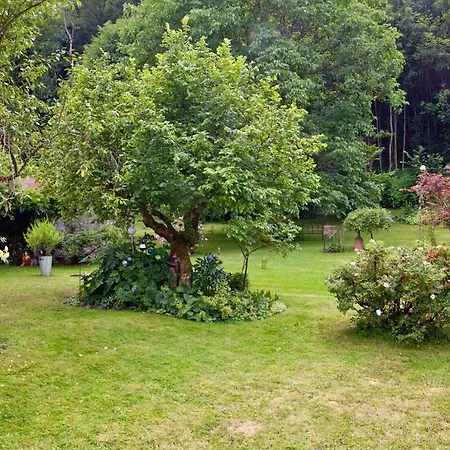 Deubzer In Appartement *